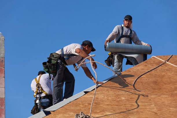 Roof Gutter Cleaning in St David, AZ