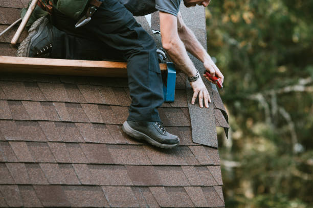 Best Gutter Installation and Roofing  in St David, AZ